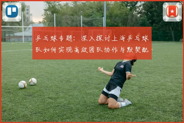 乒乓球专题：深入探讨上海乒乓球队如何实现高效团队协作与默契配合