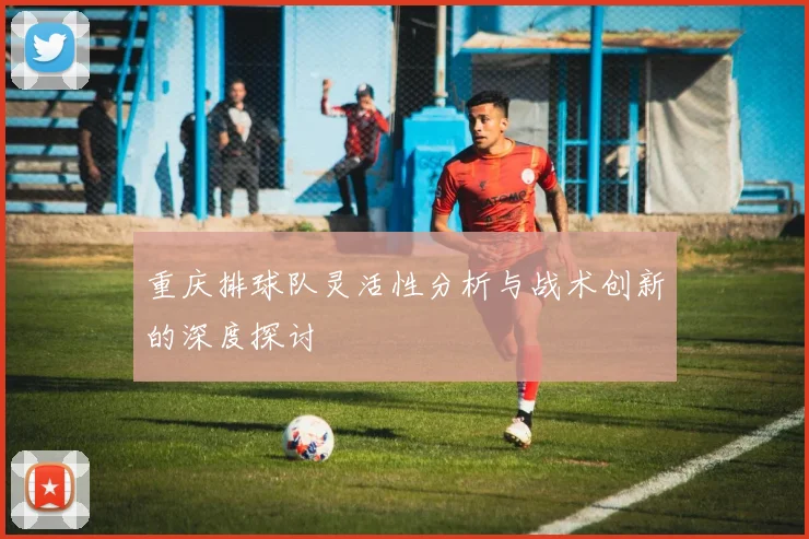 重庆排球队灵活性分析与战术创新的深度探讨